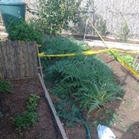 El Huerto De Los Olivares