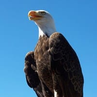 Daniel Posadas Ortiz