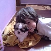 José Raúl Gamboa Alassio