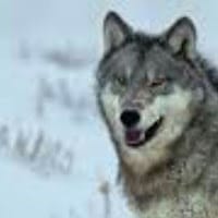 Nicolas Uchiha darkness