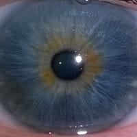 Fernando Garcia Montolio