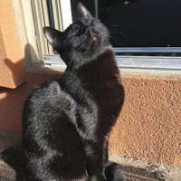 Kevin fabian Quintero