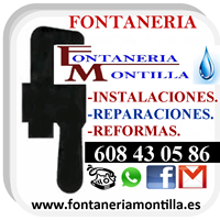 Pedro José Montilla Moreno