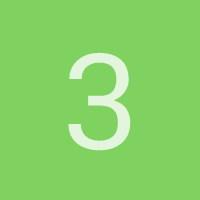 313lpo