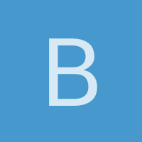 Bulma Brief