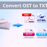 ¿Por qué los usuarios necesitan convertir OST a TXT?