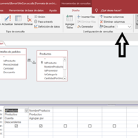 Access - Mostrar datos de distintas columnas de un registro