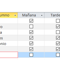 Cómo Contar casillas verificación Access