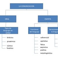 ¿Cómo se hace un resumen esquemizado?