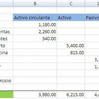 Prepare el balance con los datos de un negocio de camisas y responda lo siguiente: