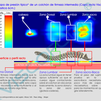 Flex/sonpura/relax muelles+visco