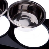 ¿Son malos los cuencos de comida profundos para gatos?