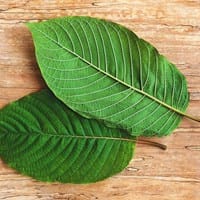 Green Elephant Kratom: A Powerful and Natural Wellness Solution
