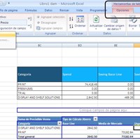 Tabla dinamica en excel que sume bajo una condicion