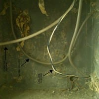 ¿Cómo sacar una toma de teléfono a partir de un cable que pasa por la pared?