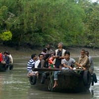 Capturing Nature's Splendor in Sundarban