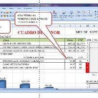 Quisiera Insertar una Foto o Imagen en archivo Excel, utilizando una Macro y un código para cada gráfica.