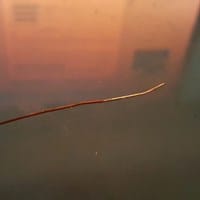 ¿Se puede usar un alambre de aluminio en una bobina?