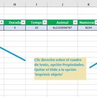 Colocar nombre en la pagina de excel pero que no se pueda imprimir