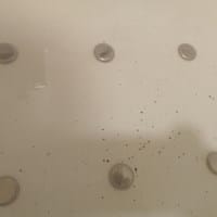 Muy preocupado por partículas negras en agua caliente. ¿Qué son?