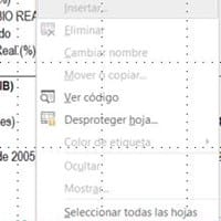 Tengo un documento de Excel que no deja cambiar los nombres de las hojas.