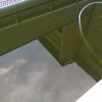 Limpieza agua piscina muy sucia