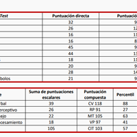 ¿Cómo se interpretan las puntuaciones de la Escala Wechsler de inteligencia para niños-IV(WISC-IV)?