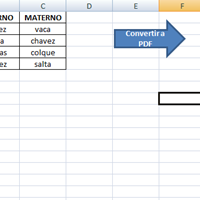 Crear un magro con botón para convertir en PDF las hojas de Excel
