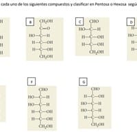 Nombrar cada uno de los siguientes compuestos y clasificar en Pentosa o Hexosa según corresponda