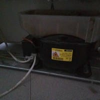 Chirrido continuo en Zanussi ZRB34315WA ‑ Frigorífico/congelador. ¿Es una avería?