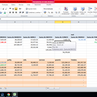 Cómo se colocan las variables en una tabla dinámica
