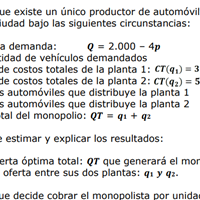 Desarrolle el siguiente ejercicio de competencia imperfecta