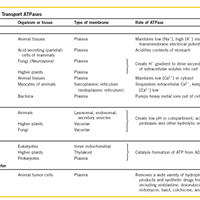 Traducciòn del inglès al español de esta diapositiva