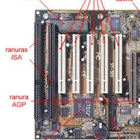 Pleistoceno superior
