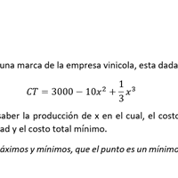 Ejercicio de Empresa Vinicola, Calculo Diferencial
