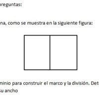 Necesito desarrollar ejercicio de funciones