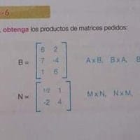 Como se realiza este ejercicio de matrices?