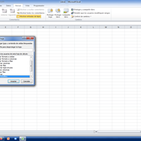 Como aplicar filtro en hoja protegida