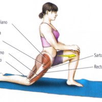 Rodillas hinchadas y con dolor