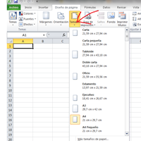 Bloquear o deshabilitar la configuración de la hoja de excel