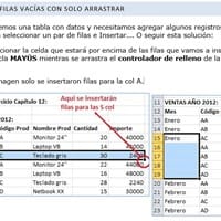 Completar datos copiando y pegando entre filas ya insertadas