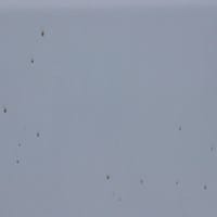 Machas marrones con punto blanco central