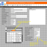 Valor 0 cuando no hay registro en formulario Access