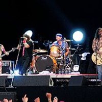 Red hot chilli peppers