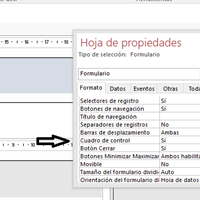 Oculta la parte superior del formulario en ejecución.