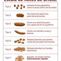 Presunta diarrea y absorción de anticonceptivos