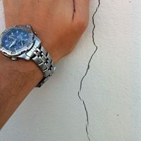 Grieta en muro de Jardín