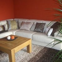 ¿Salón-comedor escoger color todo un reto?