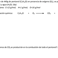 Ajusta la ecuación química etc...