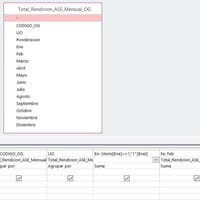 Apoyo con la función SiInm de access, pero no se porque no muestra el resultado, a pesar que no me arroja error la fórmula